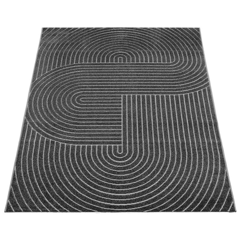 Carlose Outdoor Area Rug, Anthracite, Rectangular 200 x 280cm