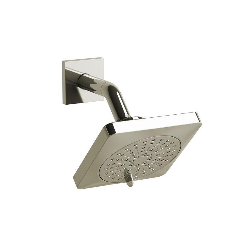 Pomme de douche à 5 fonctions avec accoudoirs 5 po Riobel, Nickel poli