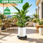Porte-plante avec roulettes en caoutchouc verrouillables, support à fleurs rond en plastique et bois de 12 pouces, capacité de 200 lb pour plantes d'intérieur et d'extérieur