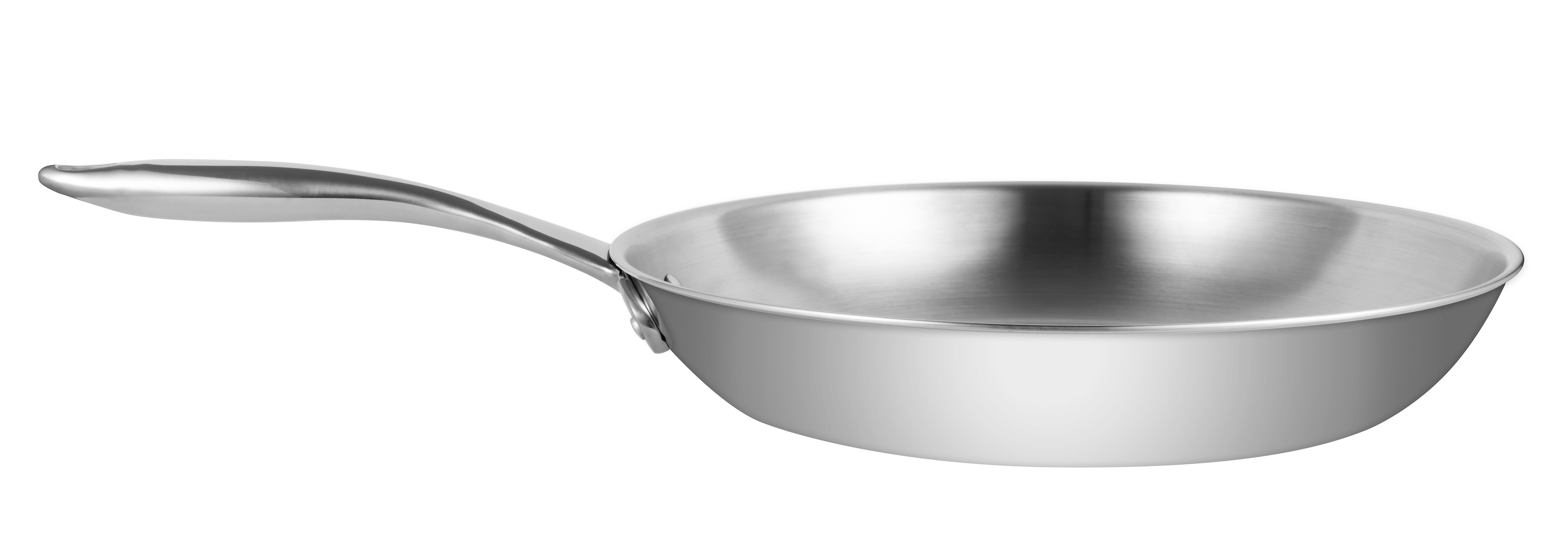  12 Stainless Steel Pan by Ozeri with ETERNA, a 100% PFOA and  APEO-Free Non-Stick Coating