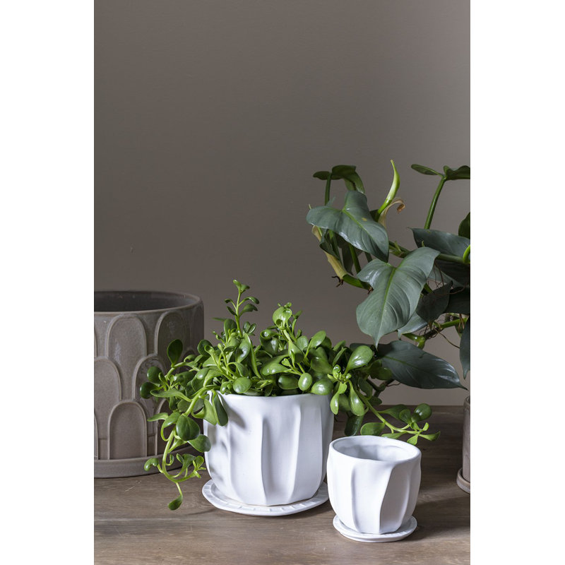 Pot à fleurs en céramique Gusnel Draken, H 6,25 po x l 7,5 po x P 7,5 po