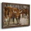 Longhorns, reproduction d'art sur toile encadrée-1452552755-1452552758