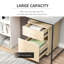 41cm Wide 2 -Drawer File Cabinet-388468505