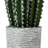17 " H Faux Cactus Succulent in Concrete Pot