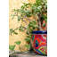 Pot à fleurs en céramique Talavera