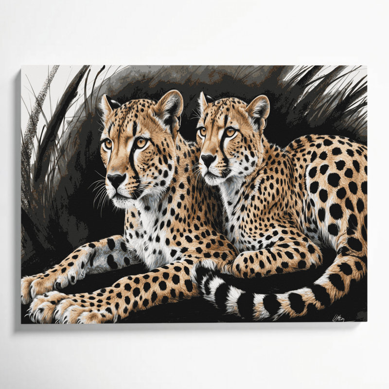Big Cats Cheetahs Black Canvas Wall Art, 20" H x 24" W