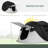 Pop Up tent-113854728