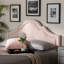 Tête de lit tapissier en velours rose clair Leto, H 56,21 po x l 61,25 po x P 2,23 po Leto-1181216017-1181216018