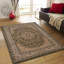 Oriental Area Rug in Green/Brown