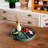 Round Serving Tray With Handles, Large Decorative Ottoman And Coffee Table Tray For Living Room