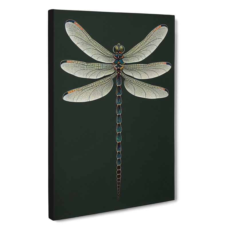 Symmetrical Dragonfly - Wrapped Canvas, 50cm H x 35cm W x 3cm D