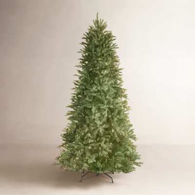 Adneta Slim Flocked 12' Pre-Lit Fir Christmas Tree