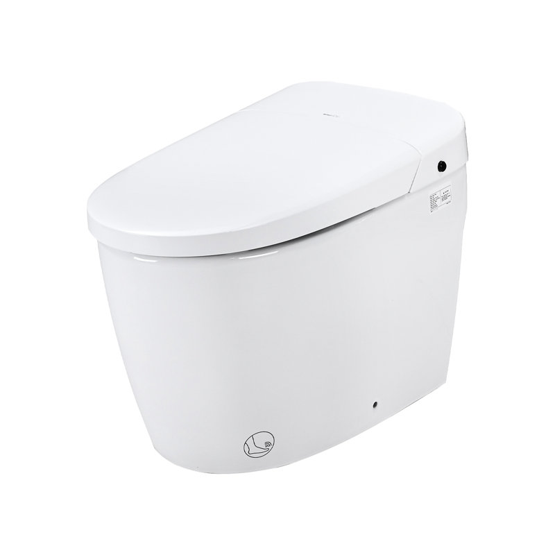 Toilette intelligente avec siège chauffant pour la nuit, la chasse d'eau et la chasse d'eau. Céramique, bidet d'une hauteur de 19,18 po et d'une profondeur de 30,9 po, siège, délavé, 92,8 lb lourd