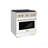 ZLINE Autograph 30 in. Paramount Dual Fuel Satin Steel Range w/ Accents