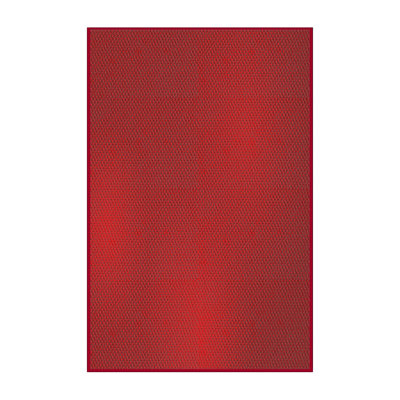 Indoor Rug
