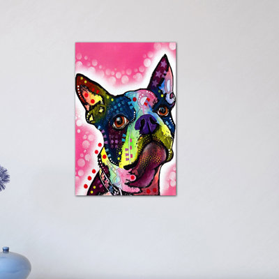 " Boston Terrier "
