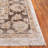 Hazel 500 Performance Oriental Rug-265838816