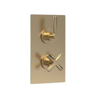 Twin Thermostatic Valve