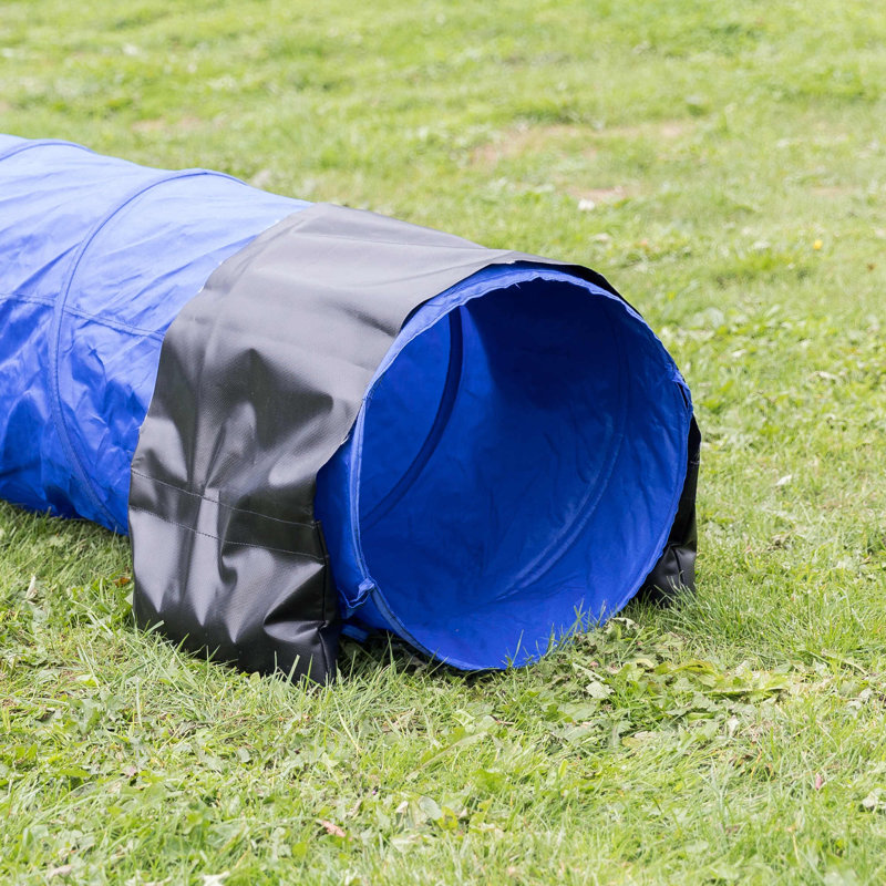 Blue and Black 6.5-ft Dog Agility Training Tunnel
