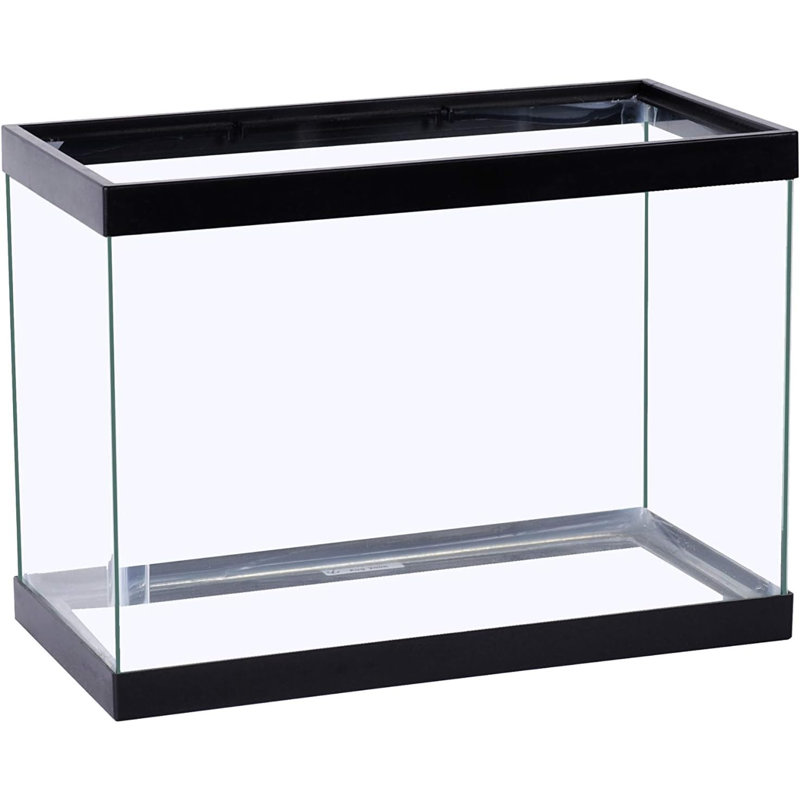 Glass Aquarium, Rectangular Fish Tank, Assorted Color, 5.5 Gallon (10" H x 16" W x 8" D)
