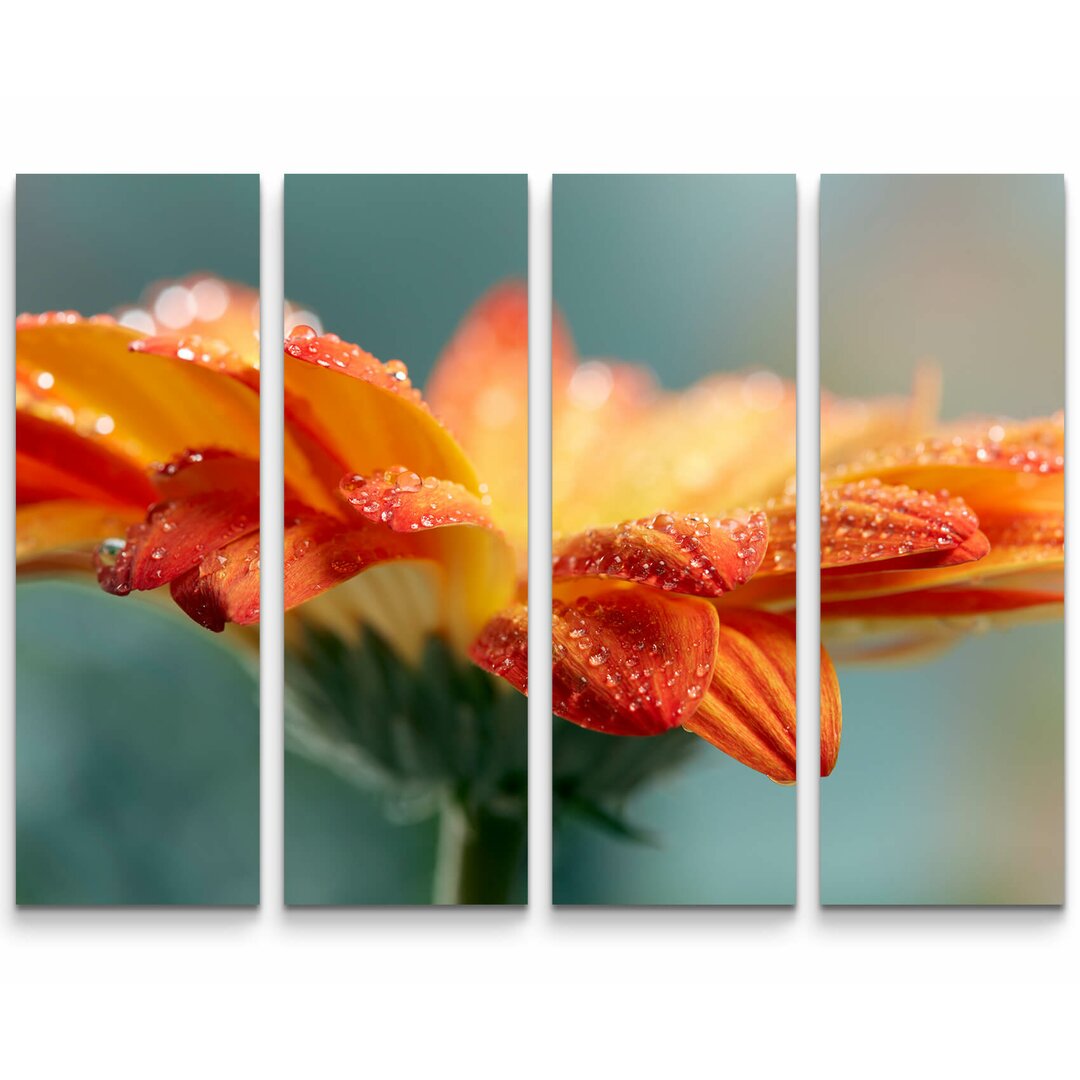 4-tlg. Leinwandbilder-Set Orange Gerbera mit Wassertropfen