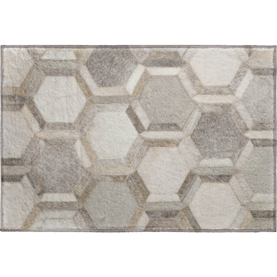 Premium Machine Washable Paytynn Gray Rug