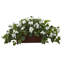 Plante florale pour bureau bougainvillea-32554425