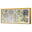 Wildflowers VII Print by Bigham, Judith-865612866-865612867