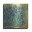 Art mural en métal «Irises in Bloom II» par Tim O'Toole-101669244