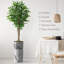 Ficus artificiel en pot 75 po