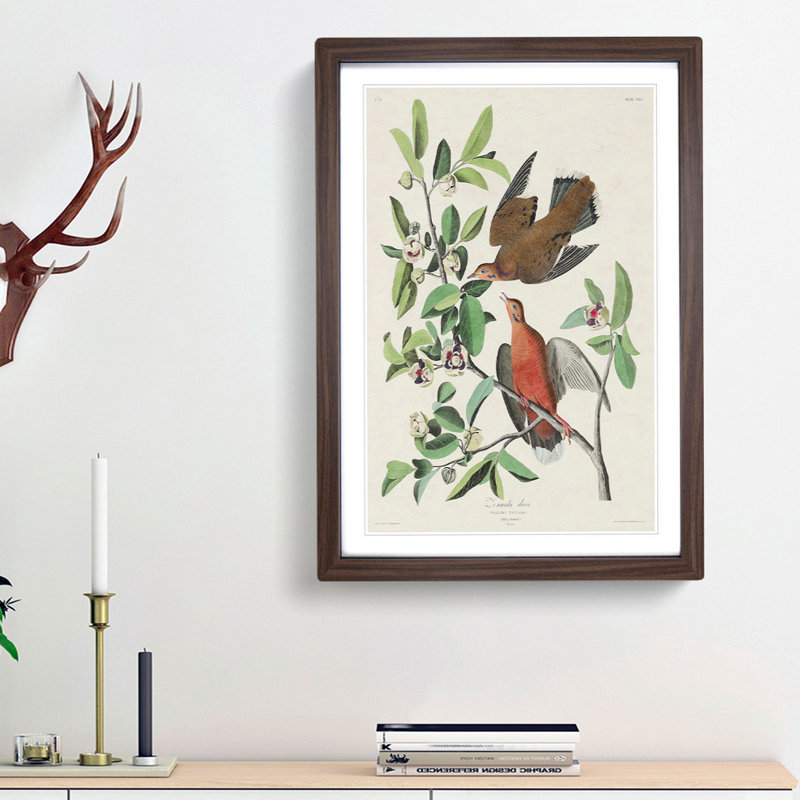 Lenaida Doves by John James Audubon - Picture Frame Painting Print, Walnut Framed, 36cm H x 27cm W x 2cm D