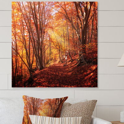 Colorful Trees In Autumn Forest - Landscapes Canvas Wall Art