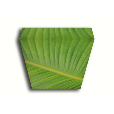 Bird of Paradise I par Kelly Wade. Estampe numérique