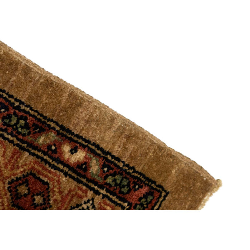 Wool Oriental Area Rug