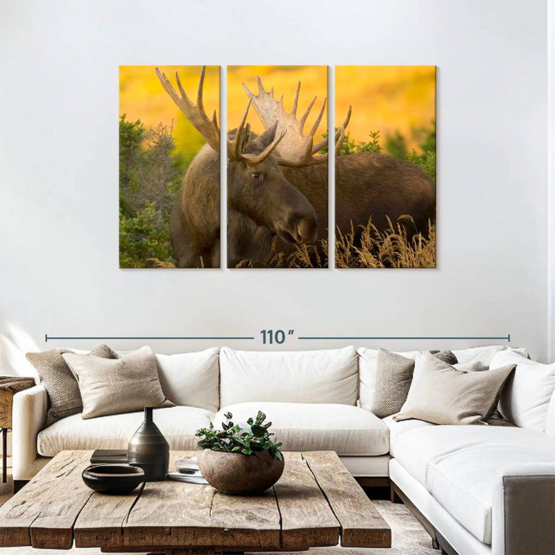 Brampt Chugach Bull Moose, 48" H x 74" W
