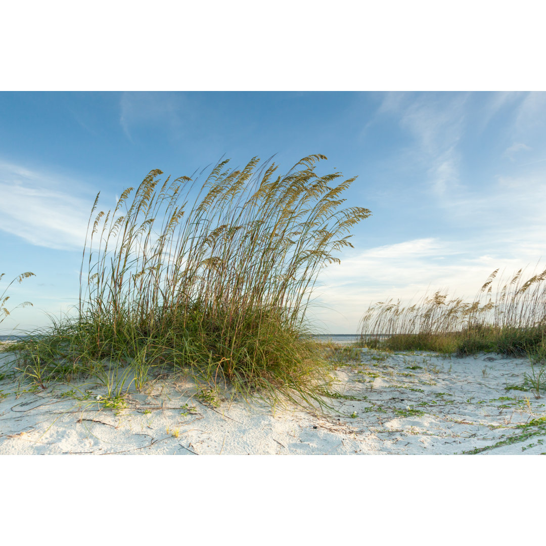 Twilight Dunes View von BeachcottagePhotography - Ohne Rahmen auf Leinwand drucken