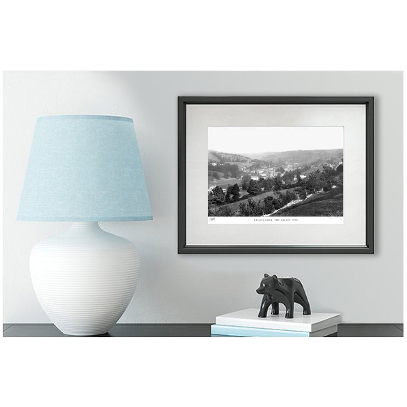 Brimscombe, The Valley 1900 by Francis Frith - Single Picture Frame Print, 28cm H x 36cm W x 2.3cm D