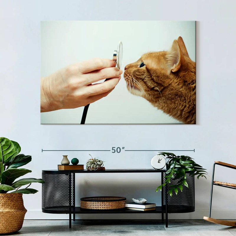 " Cat Vet ", 34" H x 51" W x 1.25" D