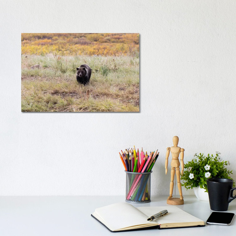 Grizzly Bear In A Forest, Grand Teton National Park, Wyoming, USA II by Panoramic Images - Wrapped Canvas Gallery-Wrapped Canvas Giclée