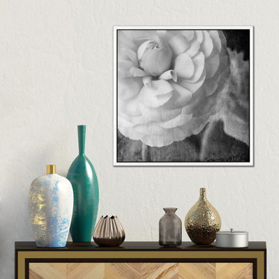 Dark Ranunculus II by Judy Stalus - Gallery-Wrapped Canvas Giclée on Canvas