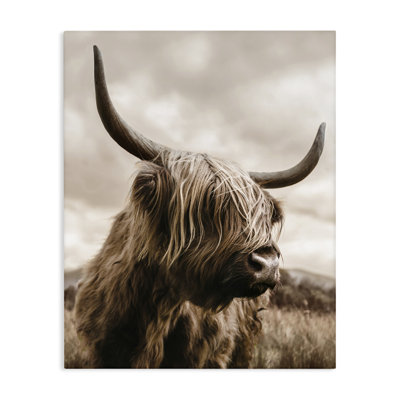 «Highland Cow» sur toile Windswept Moor, conception de CAD Designs
