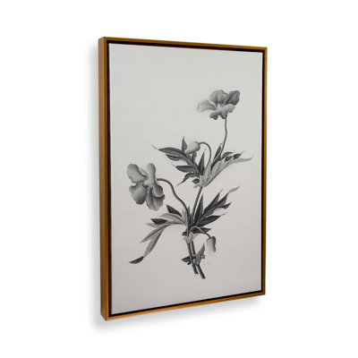 «Botanical II» par Deborah Revell, reproduction d'art sur toile