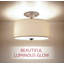 Plafonnier semi-encastré 13 po 2 lumières Randlett