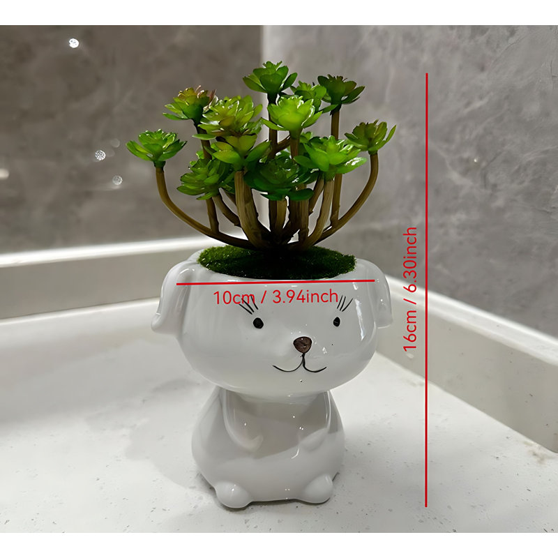 Bonsai 6,3 po