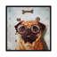 « exam eye exam », impression sur toile-21471167-74616293-74616294