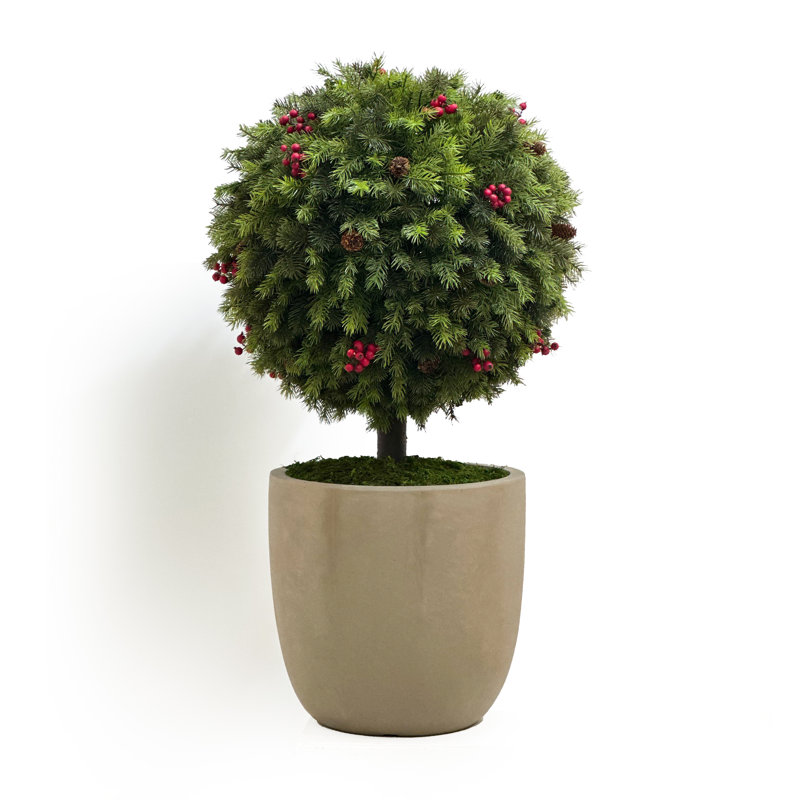 Boule de pin avec baies