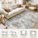 Dagmar Washable Boho Large Neutral Vintage Soft Rug Stain Resistant Distressed Farmhouse Non-Slip Indoor Floor Carpet for Bedroom Nursery Kids Office Dining Room