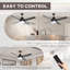 Ozelia Ceiling Fan with LED Lights-159150583-159150568