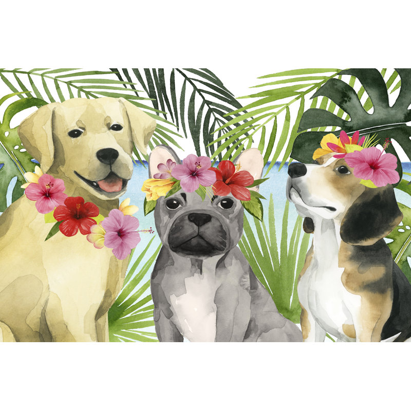 Coastal Canines III by Grace Popp - Wrapped Canvas Print, 46cm H x 30cm W x 3.8cm D