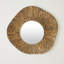Ameba Free Form Iron Mirror